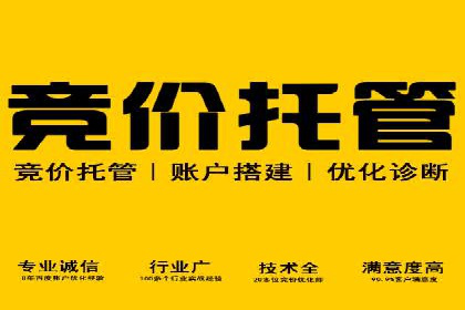 SEM外包在提高搜索引擎排名中的应用案例